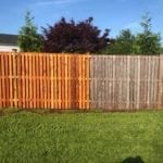 A wooden fence with half boards being dulled in color, but the other half is vibrantly brown.